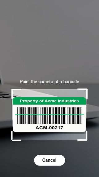 Camera scanner interface